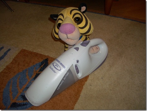Helping with the vacuuming